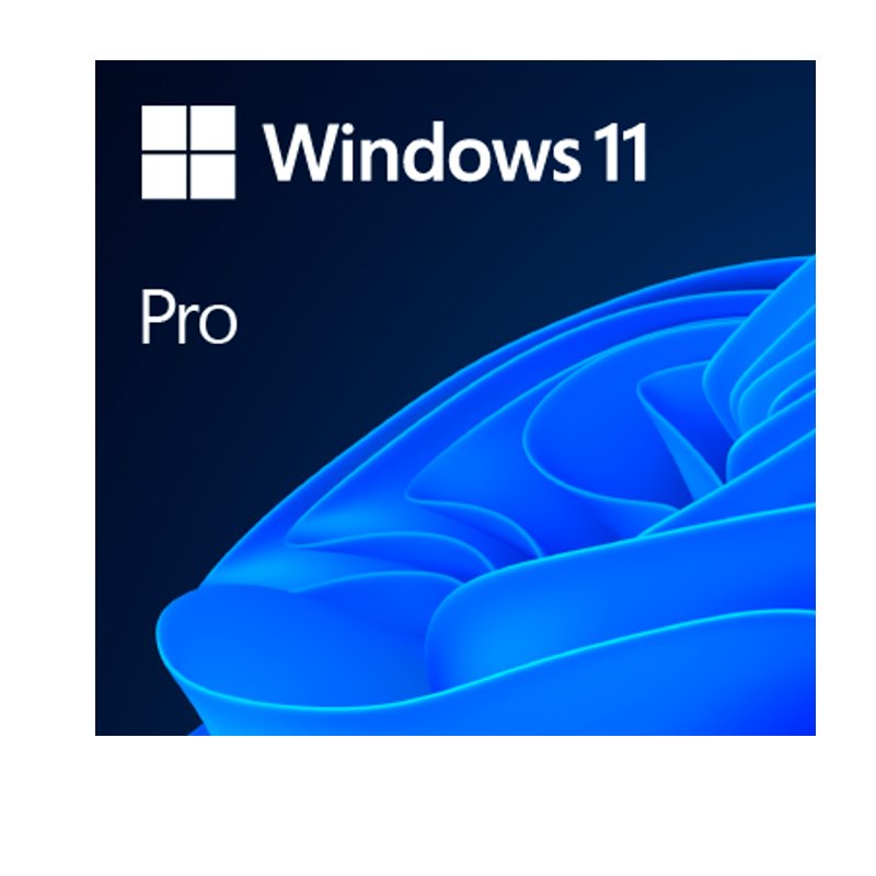 WIN 11 PRO 64BIT SPANISH LATAM Sistema Operativo Microsoft Windows 11 Pro 64-bitSpanish LATAM OEM DVD